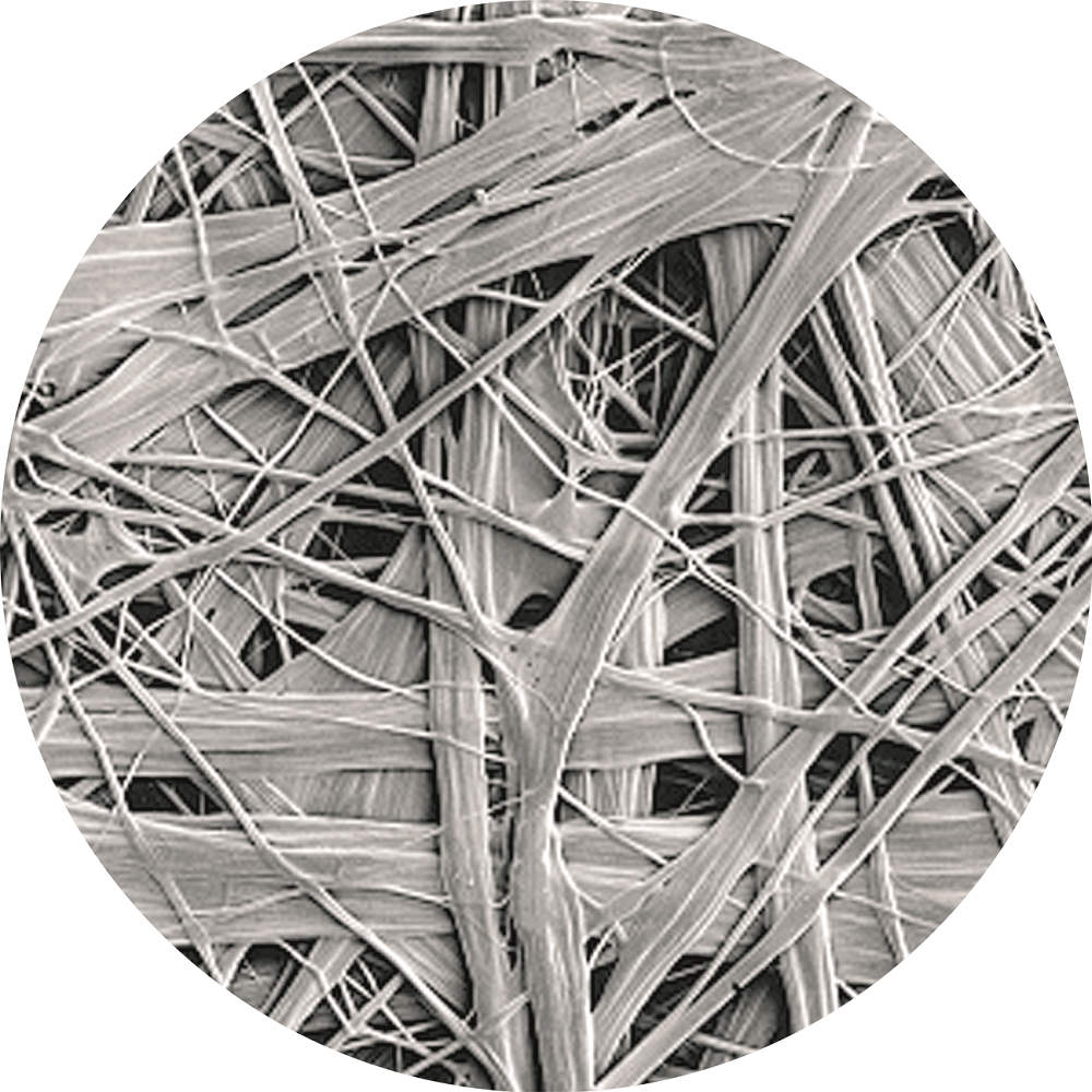 pp电子·模拟器(试玩游戏)官方网站