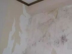 pp电子·模拟器(试玩游戏)官方网站