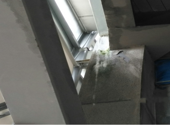 pp电子·模拟器(试玩游戏)官方网站