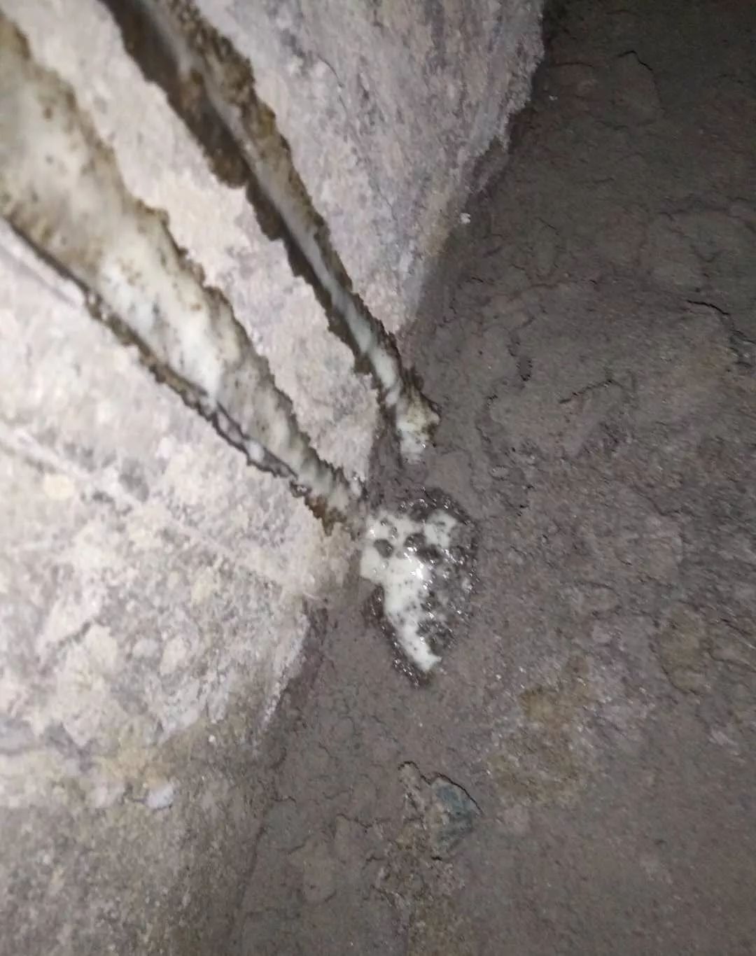 pp电子·模拟器(试玩游戏)官方网站