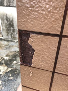 pp电子·模拟器(试玩游戏)官方网站