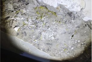 pp电子·模拟器(试玩游戏)官方网站