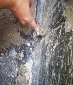 pp电子·模拟器(试玩游戏)官方网站