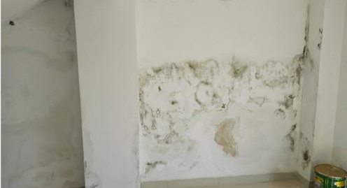 pp电子·模拟器(试玩游戏)官方网站