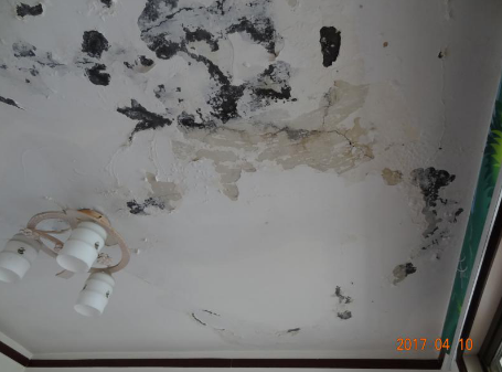 pp电子·模拟器(试玩游戏)官方网站