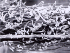 pp电子·模拟器(试玩游戏)官方网站