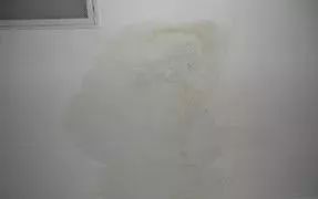 pp电子·模拟器(试玩游戏)官方网站