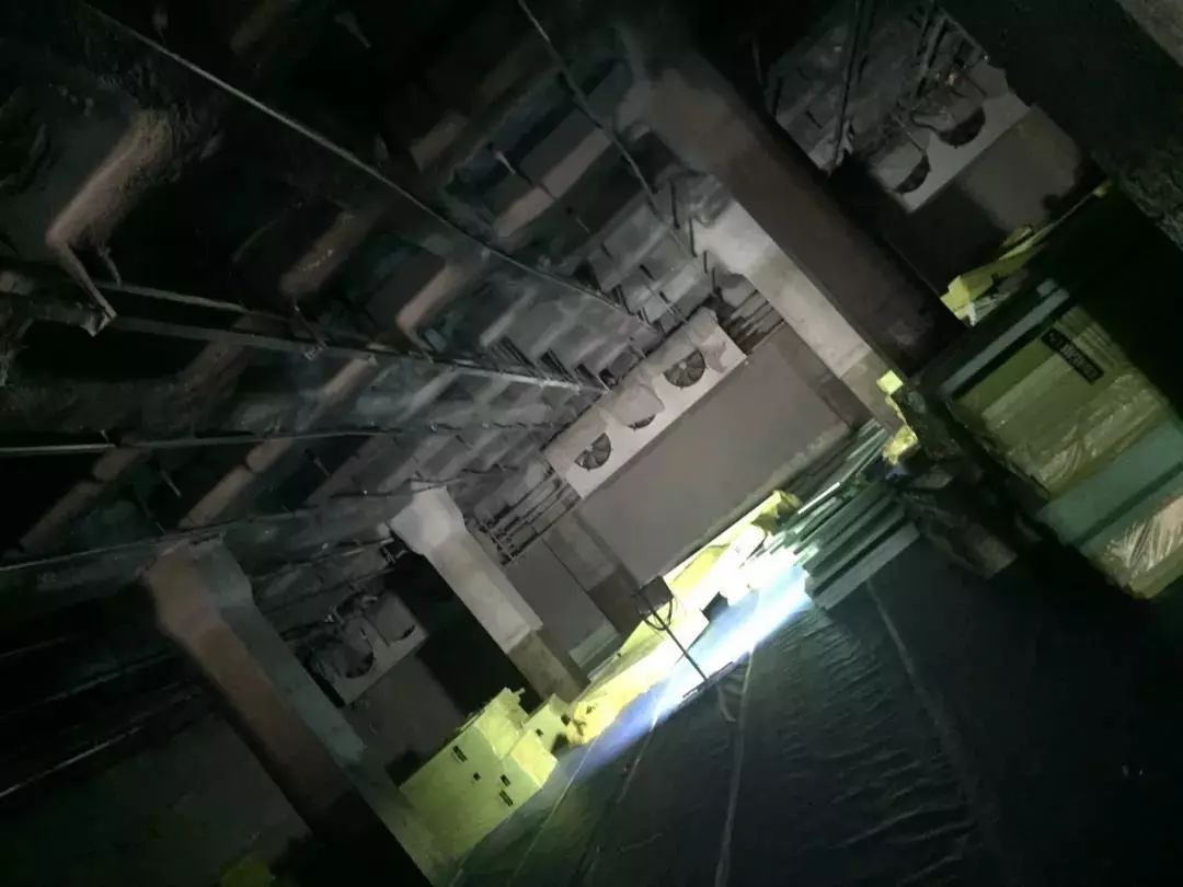 pp电子·模拟器(试玩游戏)官方网站