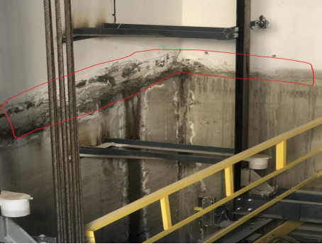 pp电子·模拟器(试玩游戏)官方网站