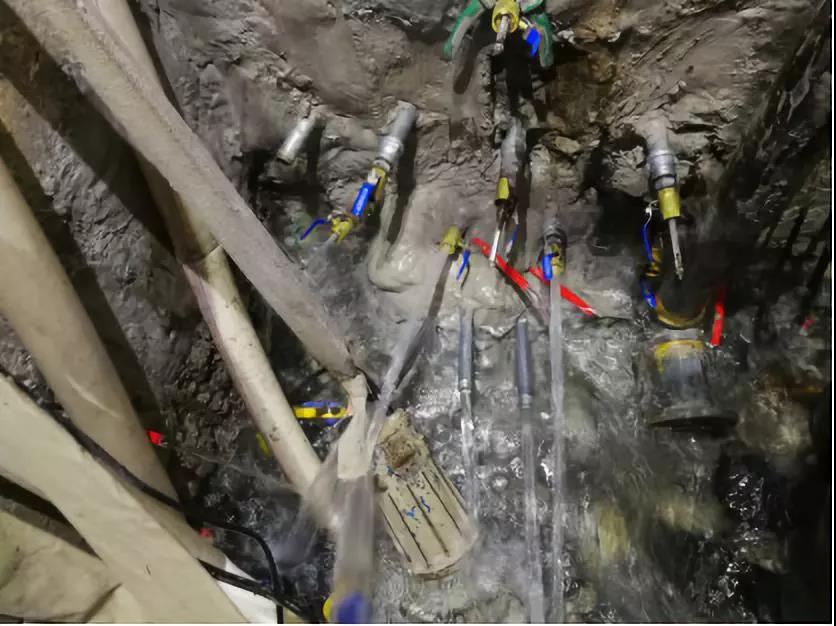 pp电子·模拟器(试玩游戏)官方网站