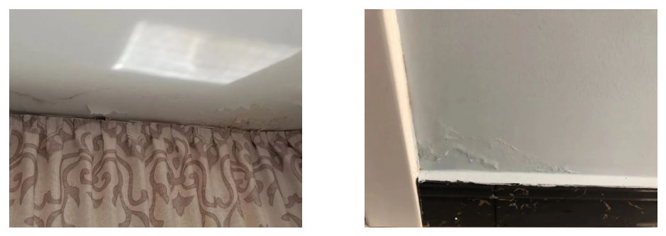 pp电子·模拟器(试玩游戏)官方网站