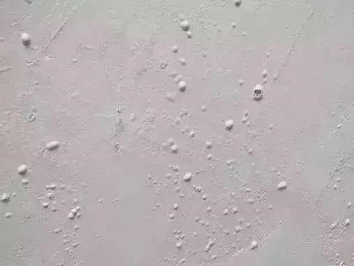 pp电子·模拟器(试玩游戏)官方网站