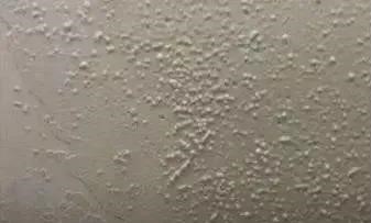 pp电子·模拟器(试玩游戏)官方网站