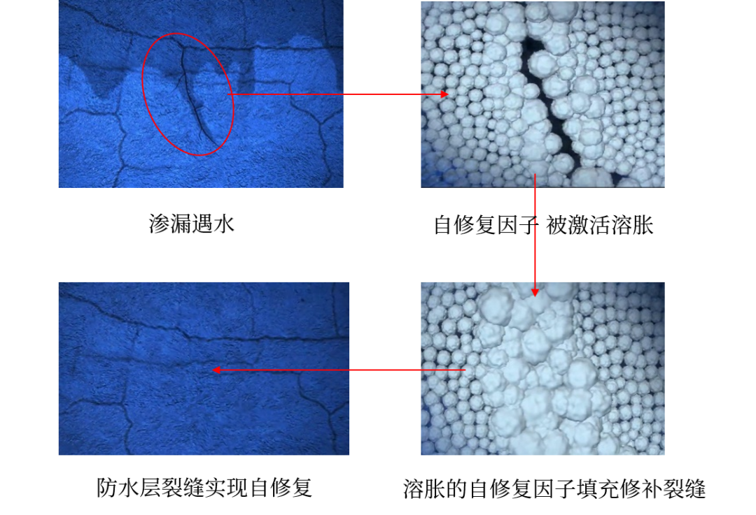 pp电子·模拟器(试玩游戏)官方网站